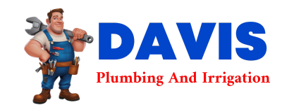 Trusted plumber in PINE RIVER